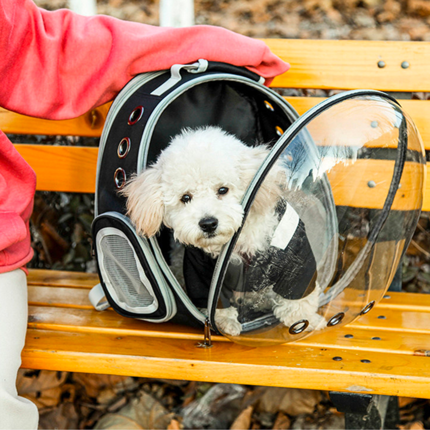 Pet Carrier Bag