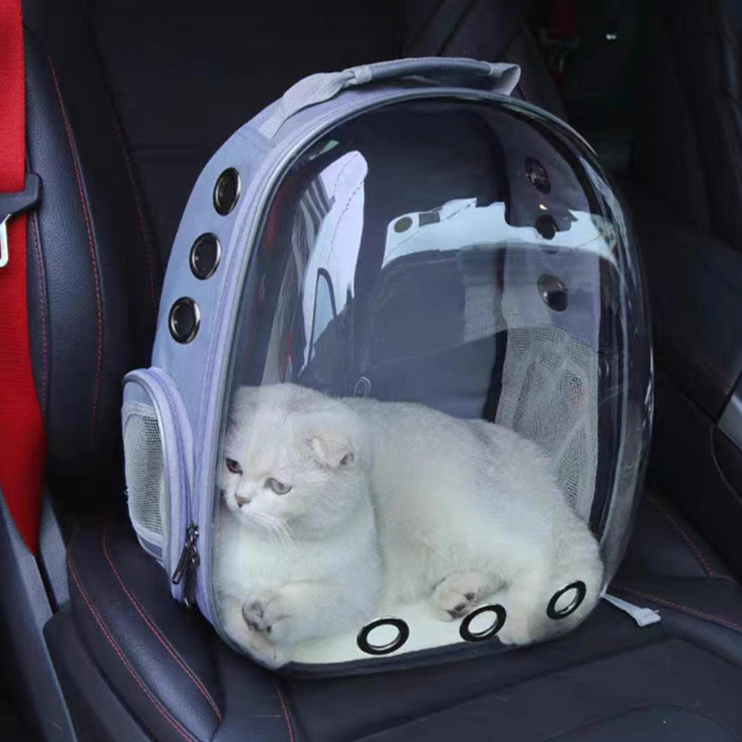 Pet Carrier Bag