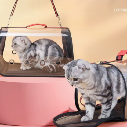 Transparent Capsule Pet Carrier Bag