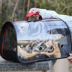 Transparent Capsule Pet Carrier Bag