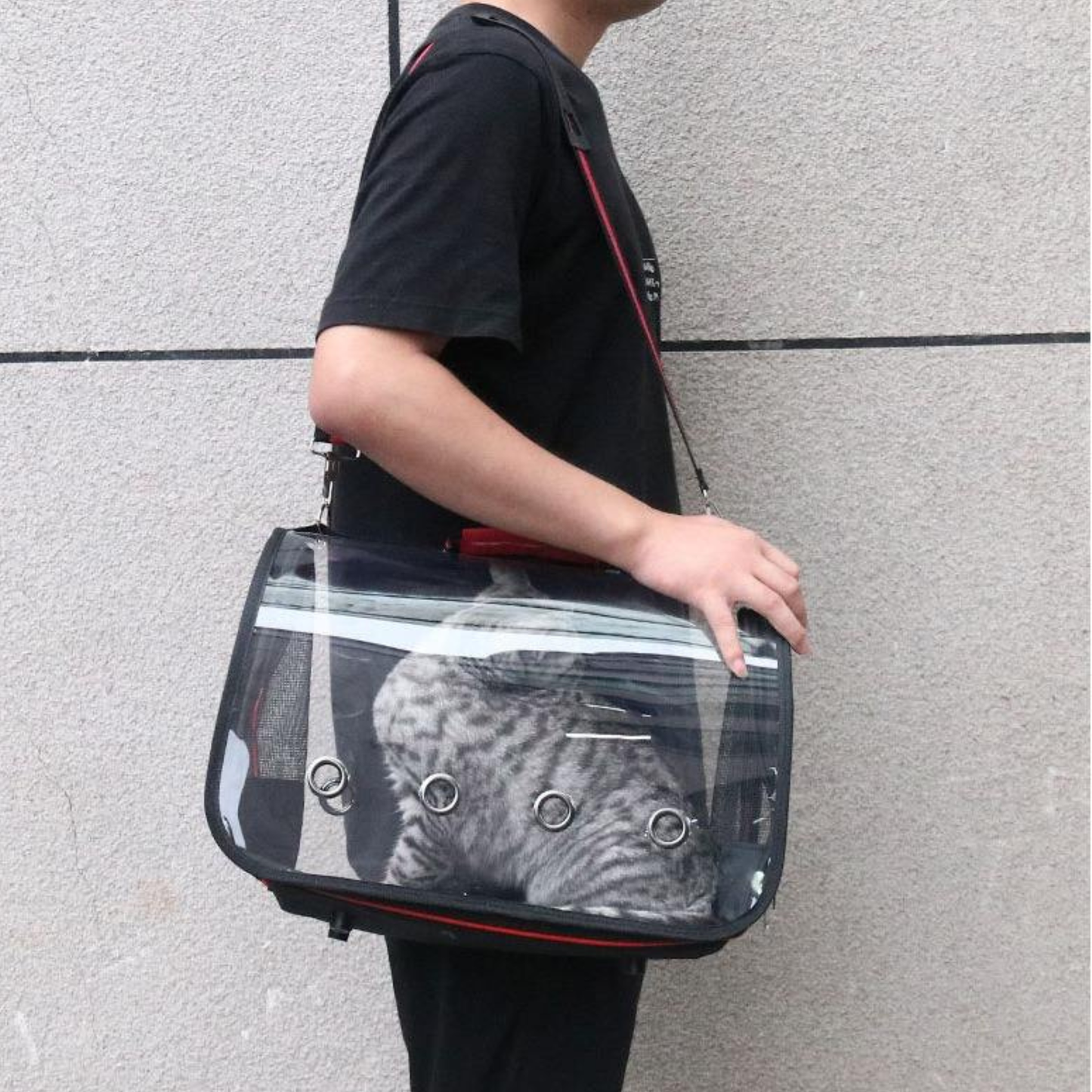 Transparent Capsule Pet Carrier Bag