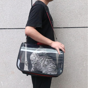 Transparent Capsule Pet Carrier Bag