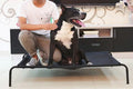 Premium Elevated Metal Dog Bed