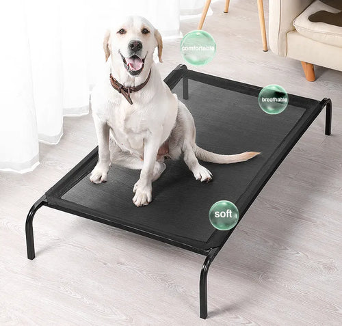 Premium Elevated Metal Dog Bed