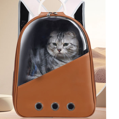 Square Foldable Adjustable Fashion Pet Bag