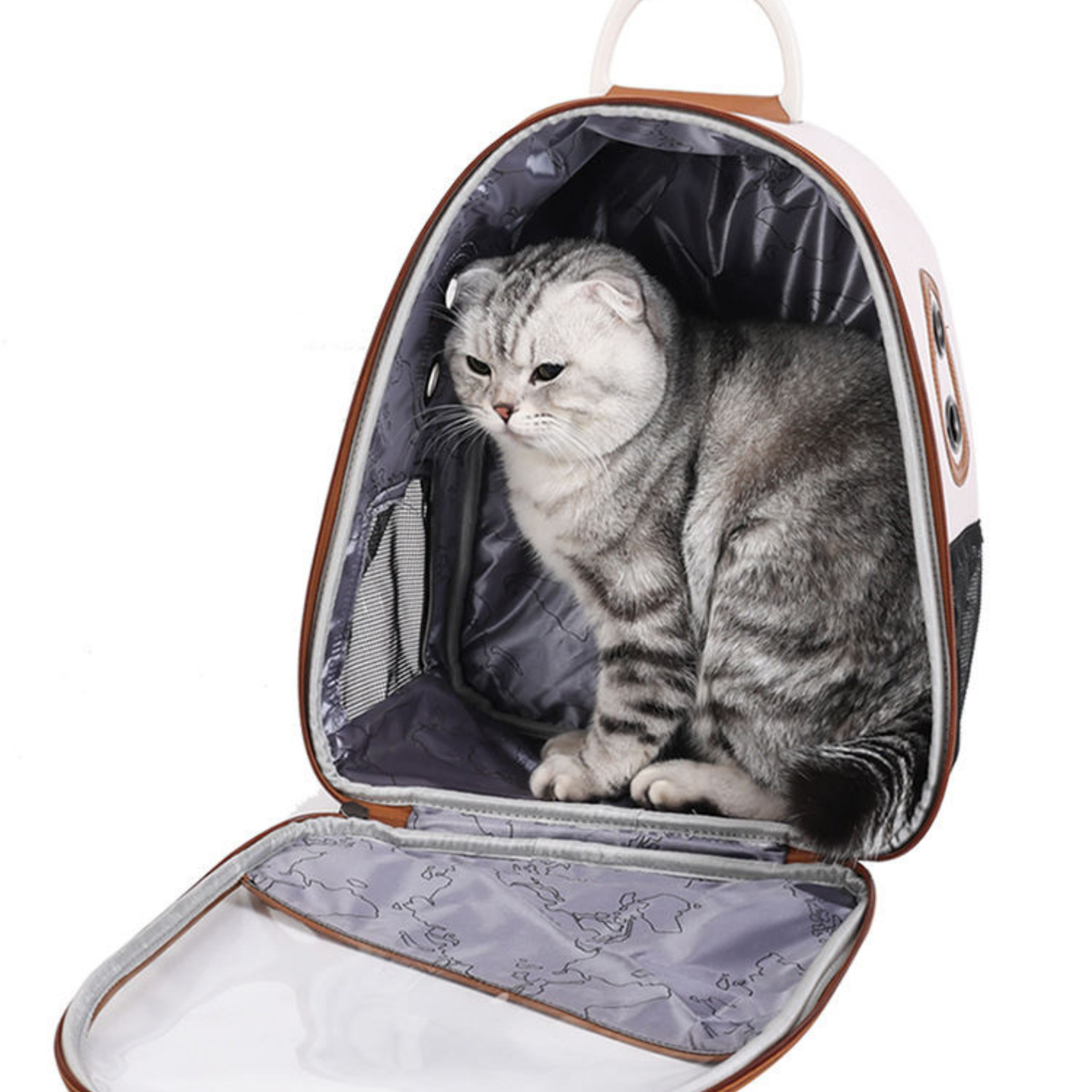 Square Foldable Adjustable Fashion Pet Bag