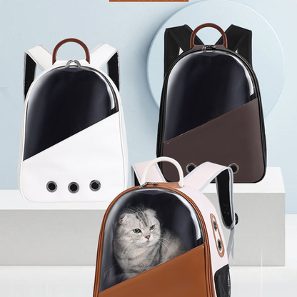Square Foldable Adjustable Fashion Pet Bag