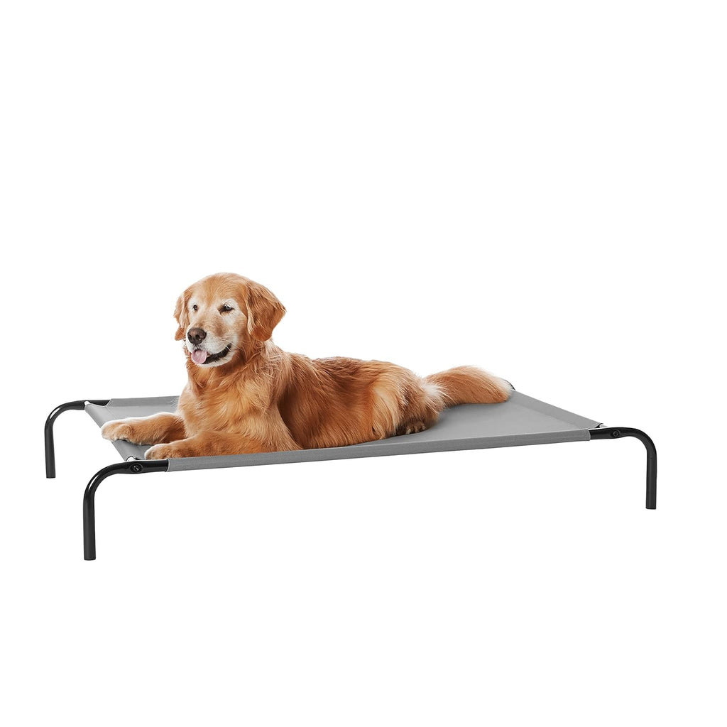 Premium Elevated Metal Dog Bed